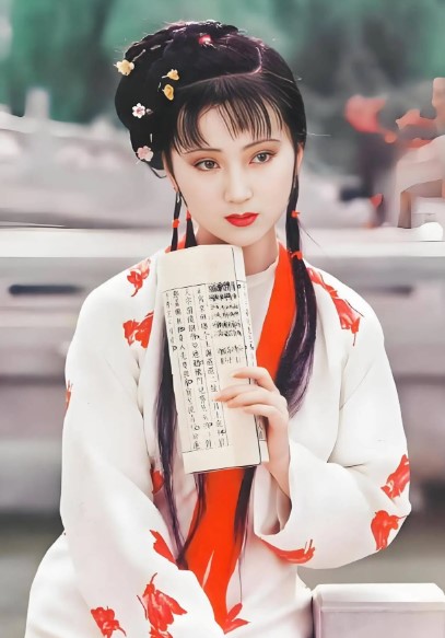 红楼梦作品图片